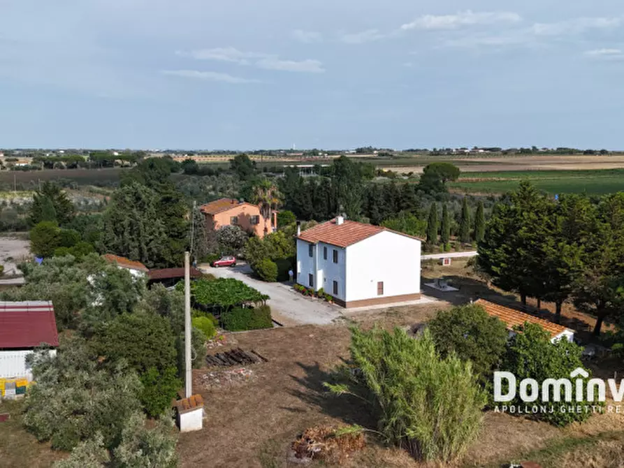 Immagine 2 di Rustico / casale in vendita  in S.S. Aurelia a Capalbio