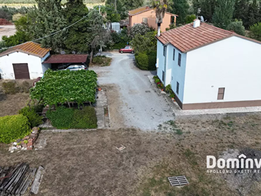 Immagine 3 di Rustico / casale in vendita  in S.S. Aurelia a Capalbio