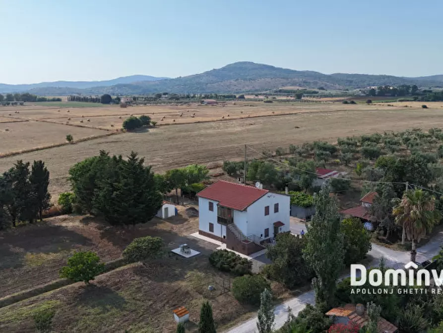 Immagine 4 di Rustico / casale in vendita  in S.S. Aurelia a Capalbio