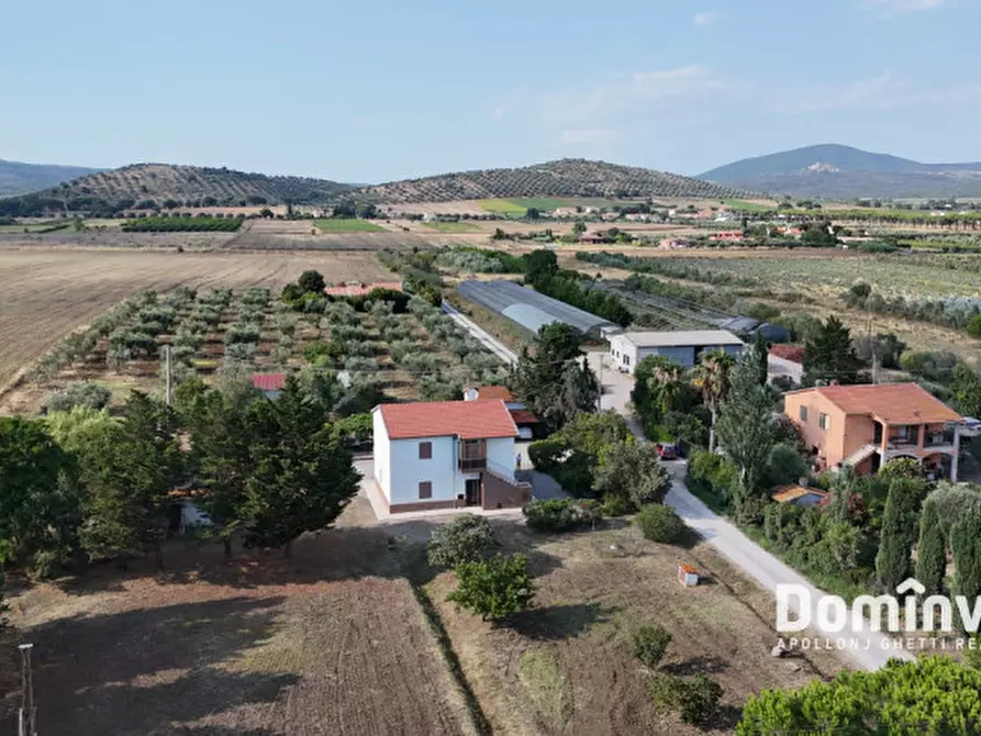 Immagine 5 di Rustico / casale in vendita  in S.S. Aurelia a Capalbio