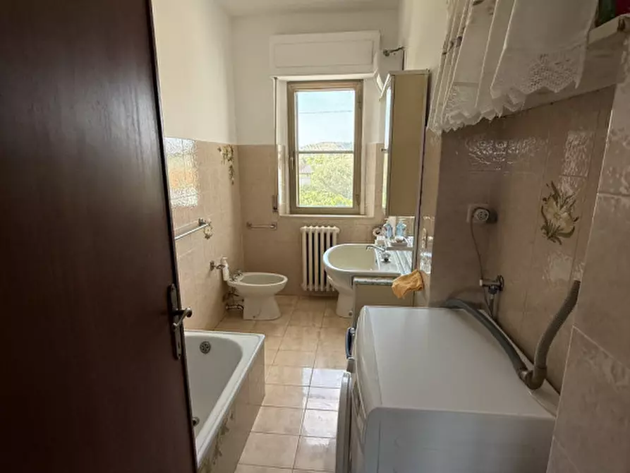 Immagine 8 di Rustico / casale in vendita  in S.S. Aurelia a Capalbio