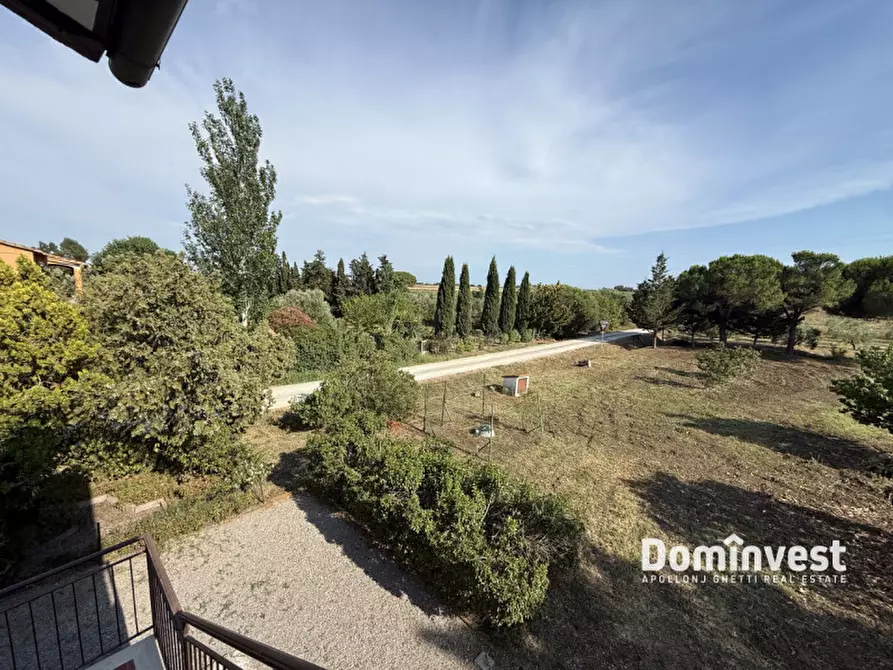 Immagine 12 di Rustico / casale in vendita  in S.S. Aurelia a Capalbio