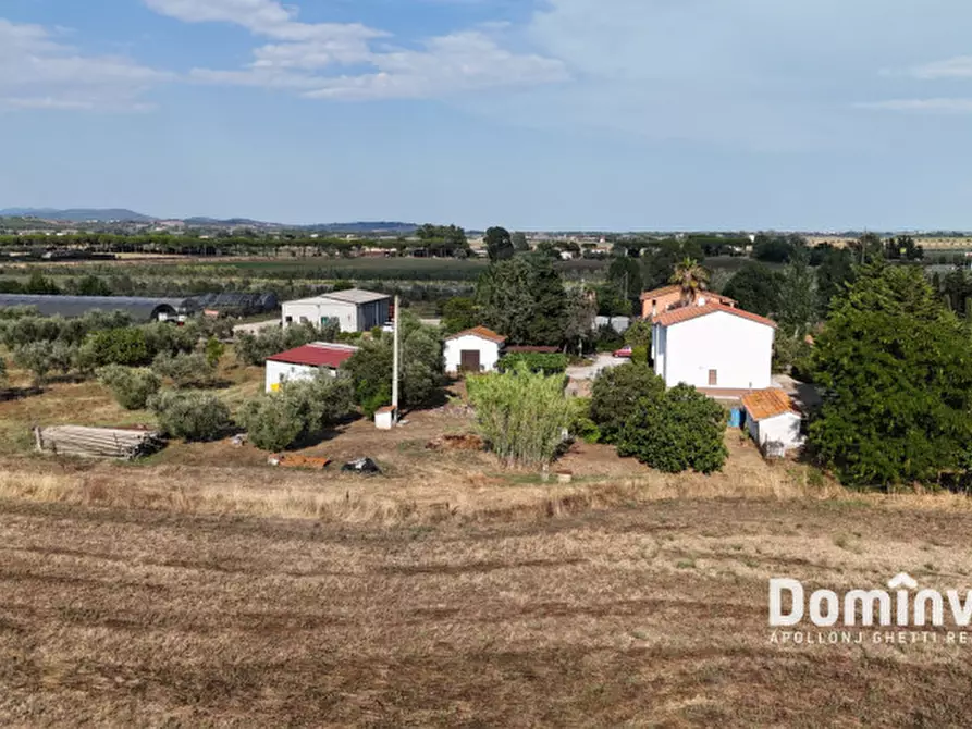 Immagine 13 di Rustico / casale in vendita  in S.S. Aurelia a Capalbio