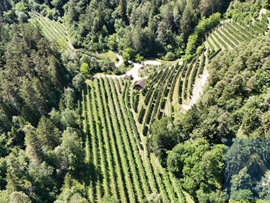 Immagine 1 di Terreno in vendita  a Contà