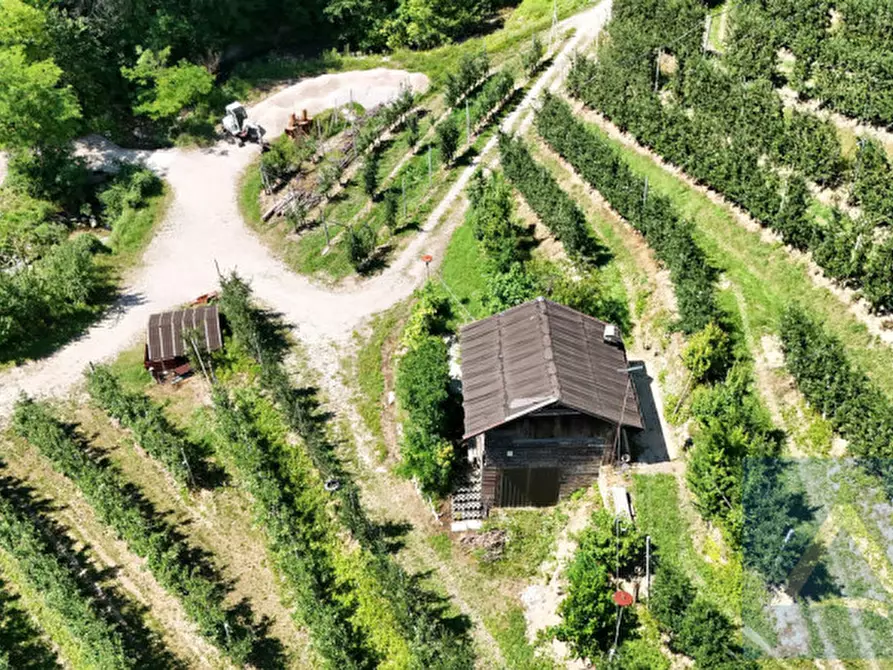 Immagine 4 di Terreno in vendita  a Contà