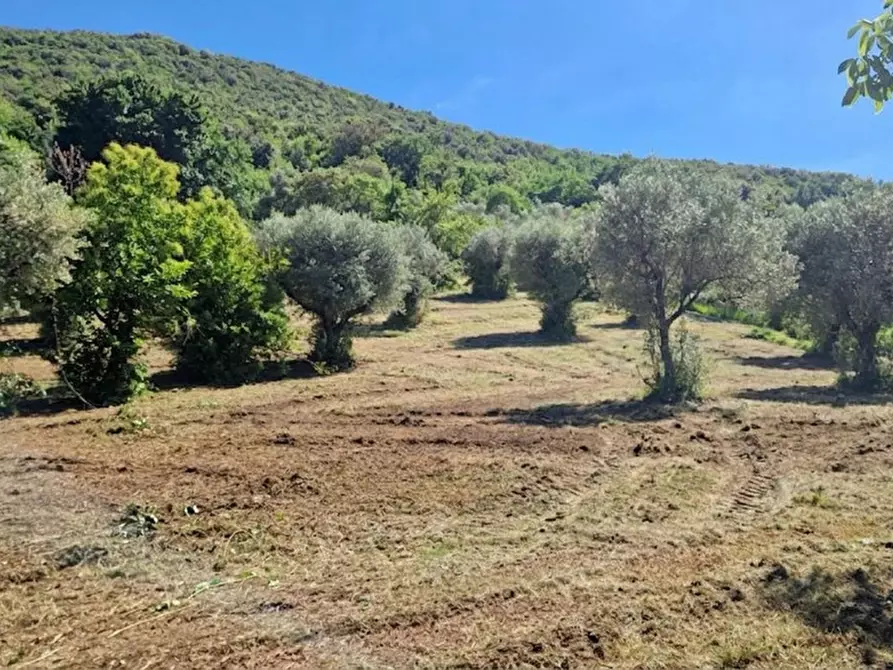 Immagine 1 di Terreno in vendita  in Strada della Forcella a Palombara Sabina