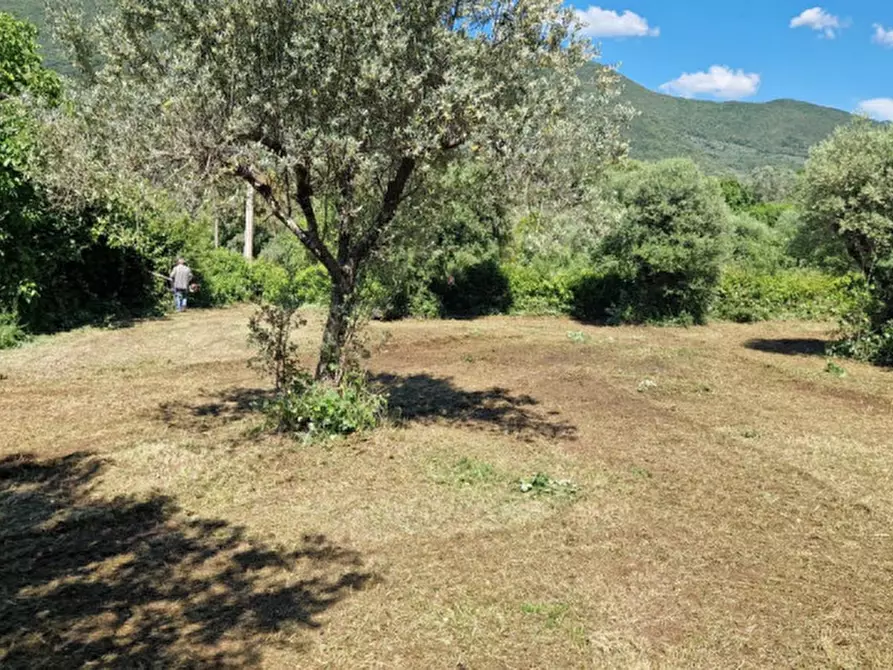 Immagine 3 di Terreno in vendita  in Strada della Forcella a Palombara Sabina