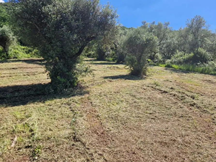 Immagine 4 di Terreno in vendita  in Strada della Forcella a Palombara Sabina