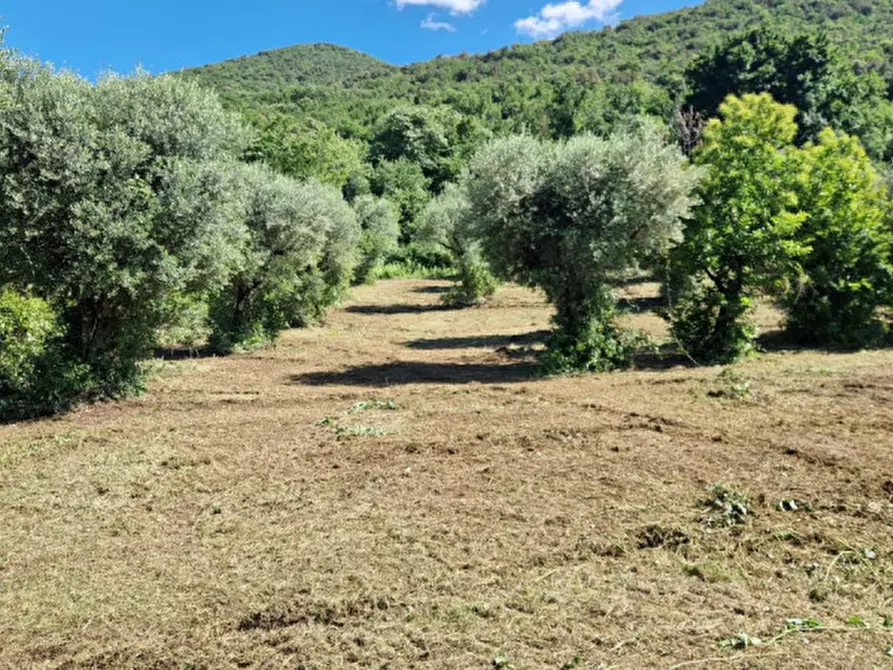 Immagine 5 di Terreno in vendita  in Strada della Forcella a Palombara Sabina