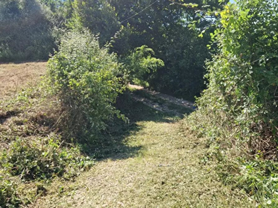 Immagine 6 di Terreno in vendita  in Strada della Forcella a Palombara Sabina