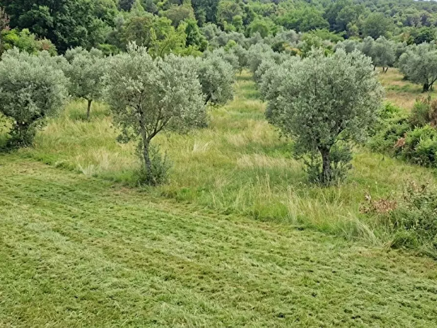 Immagine 8 di Terreno in vendita  in Strada della Forcella a Palombara Sabina