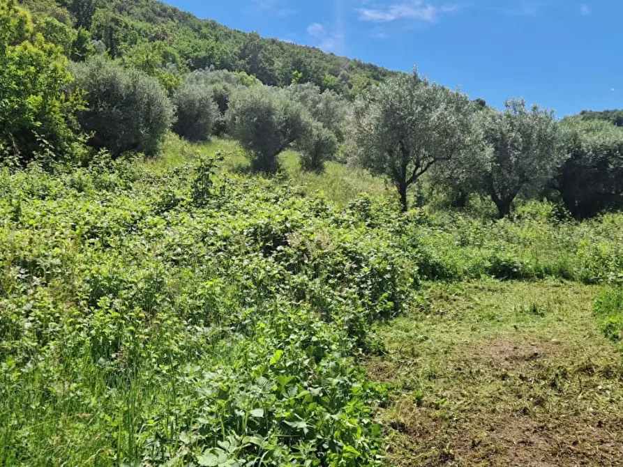 Immagine 10 di Terreno in vendita  in Strada della Forcella a Palombara Sabina