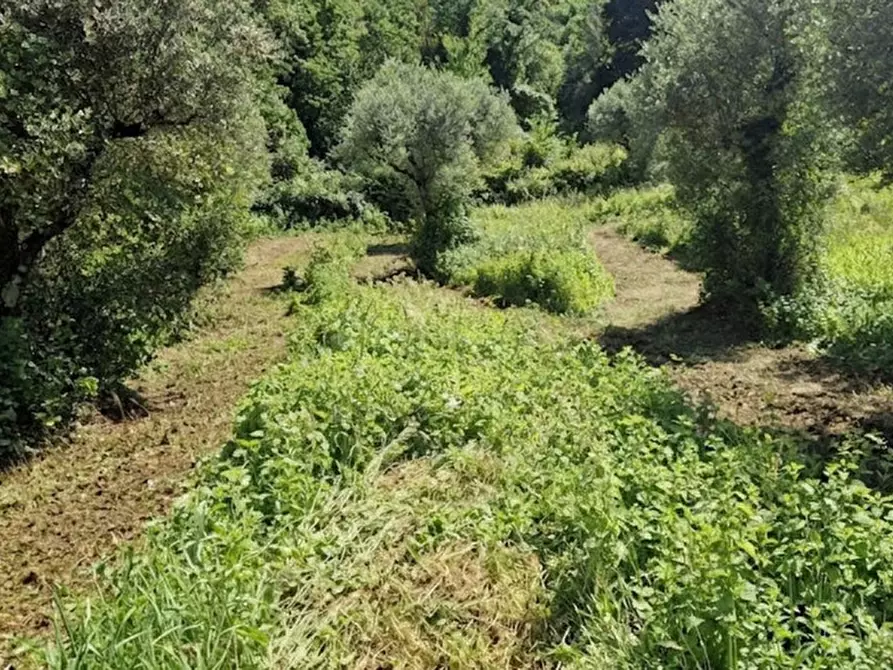 Immagine 11 di Terreno in vendita  in Strada della Forcella a Palombara Sabina