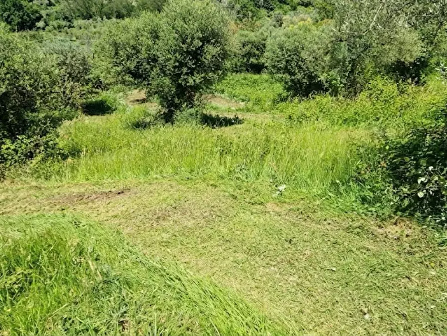 Immagine 12 di Terreno in vendita  in Strada della Forcella a Palombara Sabina