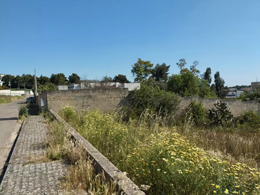 Immagine 9 di Terreno in vendita  in Via Marco Polo a Casarano
