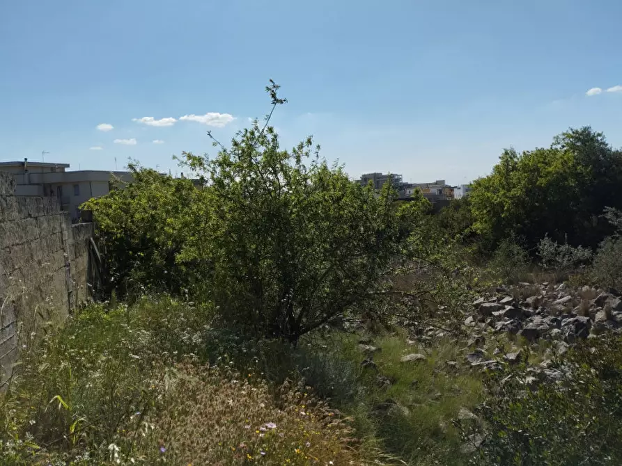 Immagine 15 di Terreno in vendita  in Via Marco Polo a Casarano