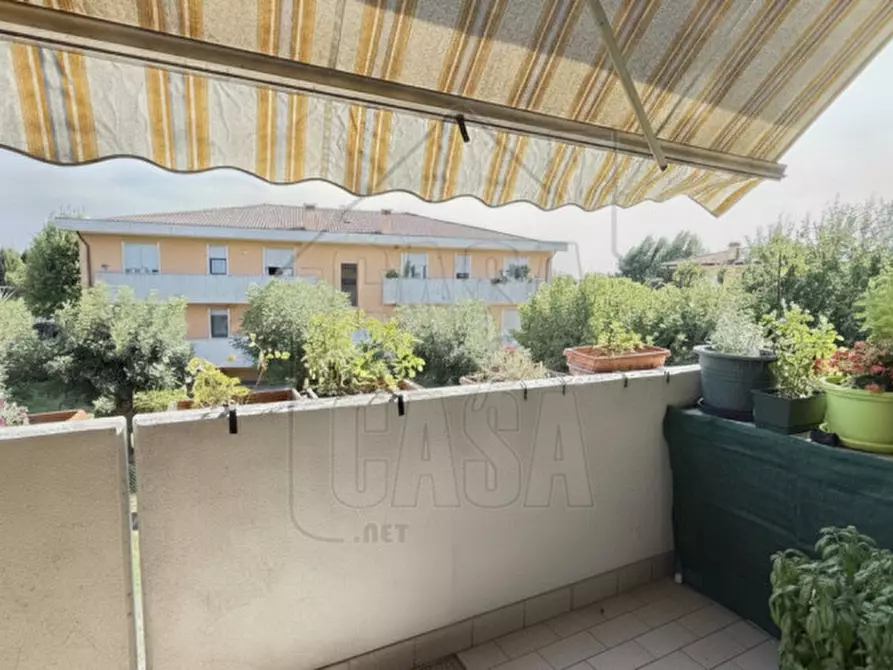 Immagine 10 di Appartamento in vendita  in Via Roma a Cartura
