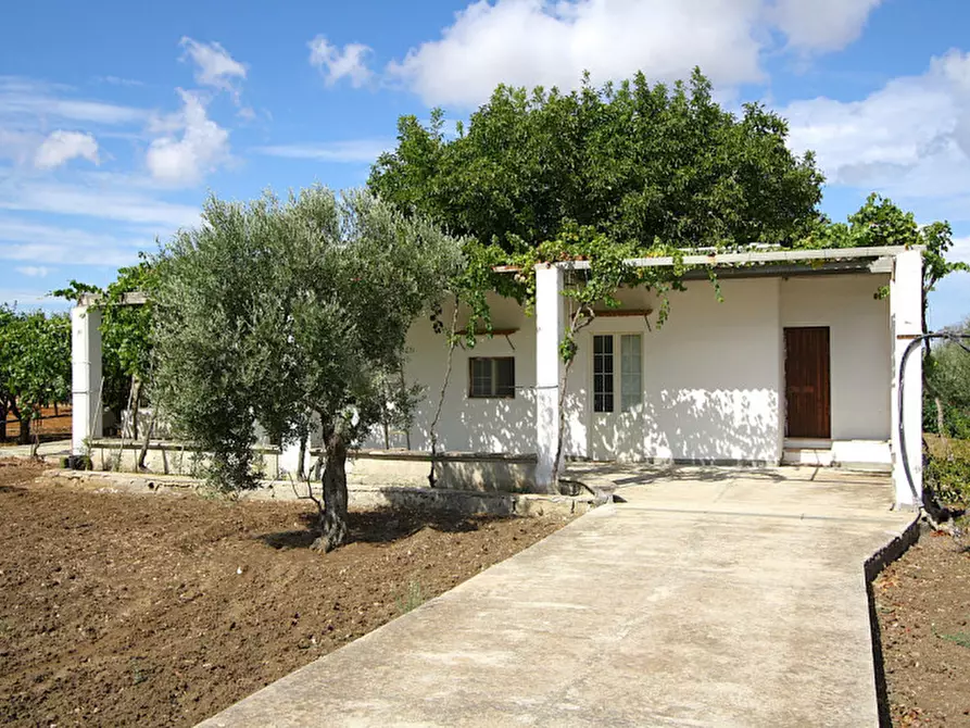 Immagine 1 di Magazzino in vendita  in SP 223 a Gallipoli