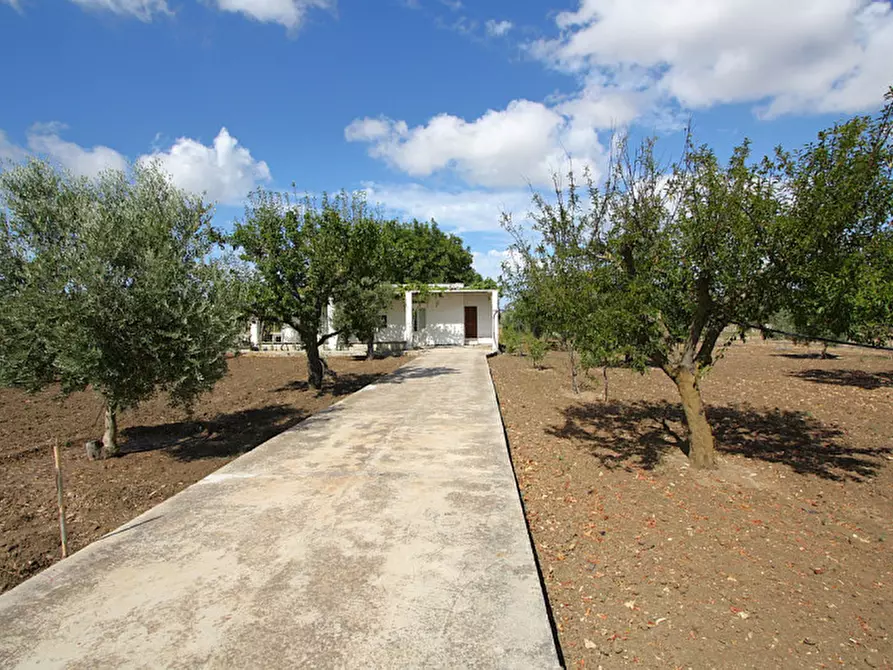 Immagine 2 di Magazzino in vendita  in SP 223 a Gallipoli