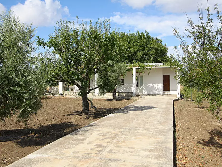 Immagine 3 di Magazzino in vendita  in SP 223 a Gallipoli