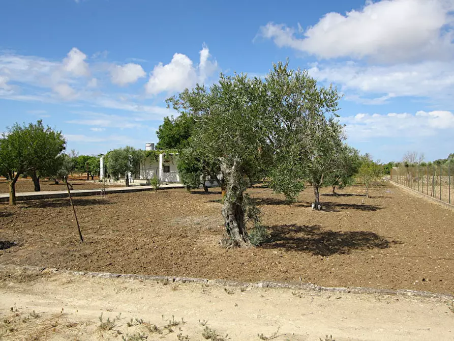 Immagine 4 di Magazzino in vendita  in SP 223 a Gallipoli