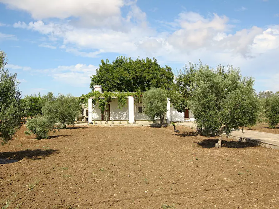 Immagine 5 di Magazzino in vendita  in SP 223 a Gallipoli