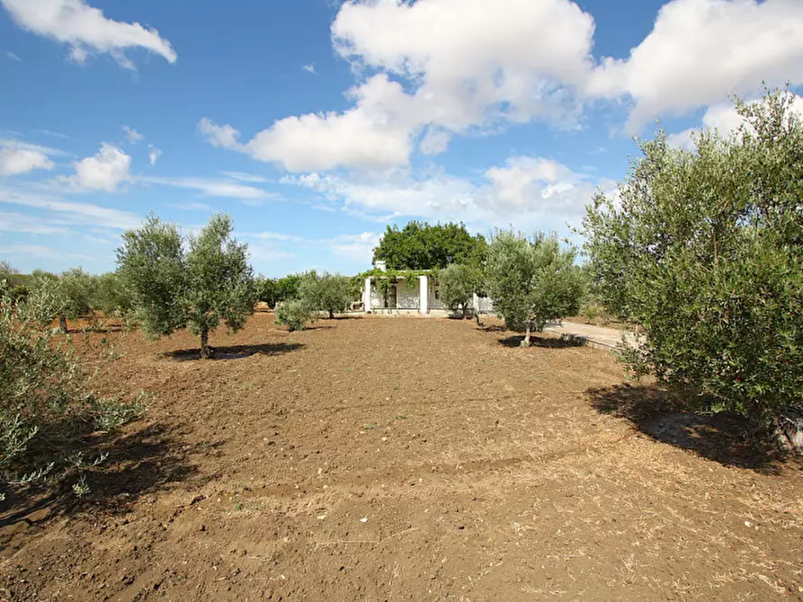 Immagine 6 di Magazzino in vendita  in SP 223 a Gallipoli