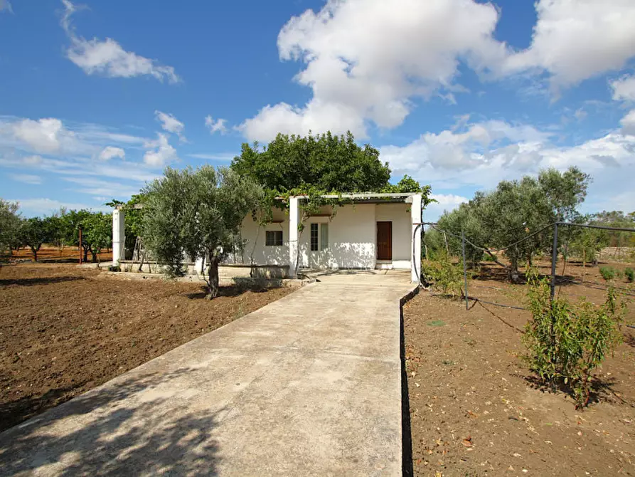 Immagine 7 di Magazzino in vendita  in SP 223 a Gallipoli
