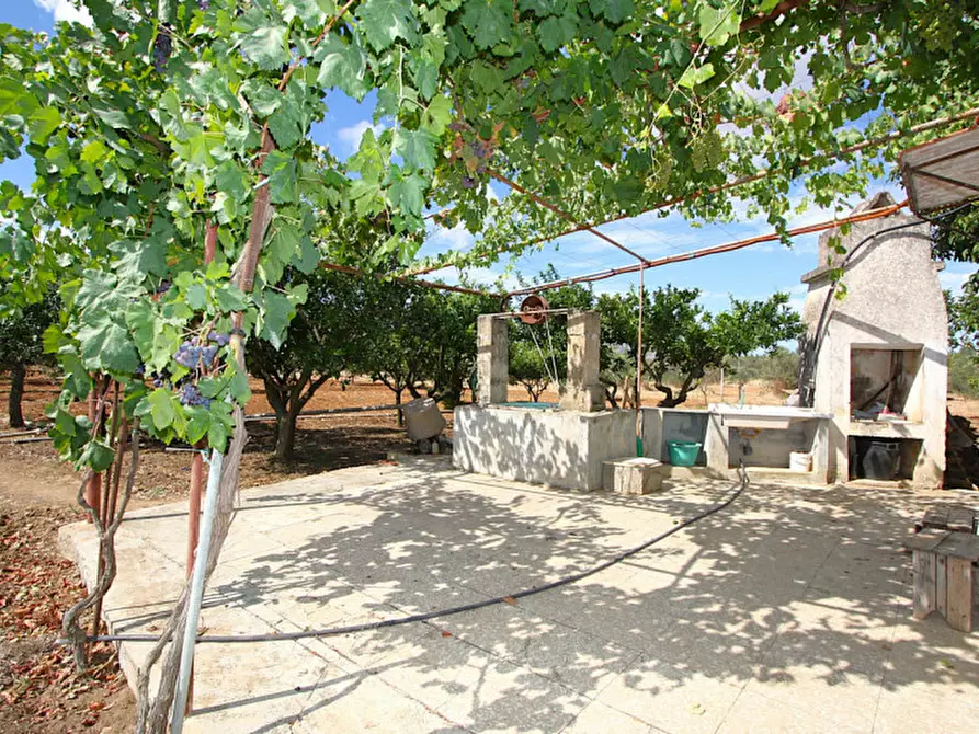 Immagine 10 di Magazzino in vendita  in SP 223 a Gallipoli