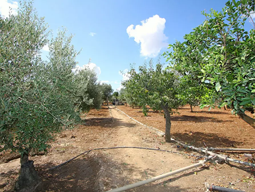 Immagine 11 di Magazzino in vendita  in SP 223 a Gallipoli