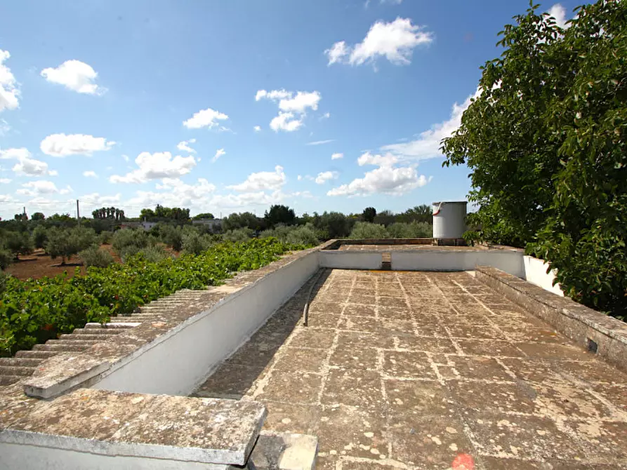 Immagine 19 di Magazzino in vendita  in SP 223 a Gallipoli