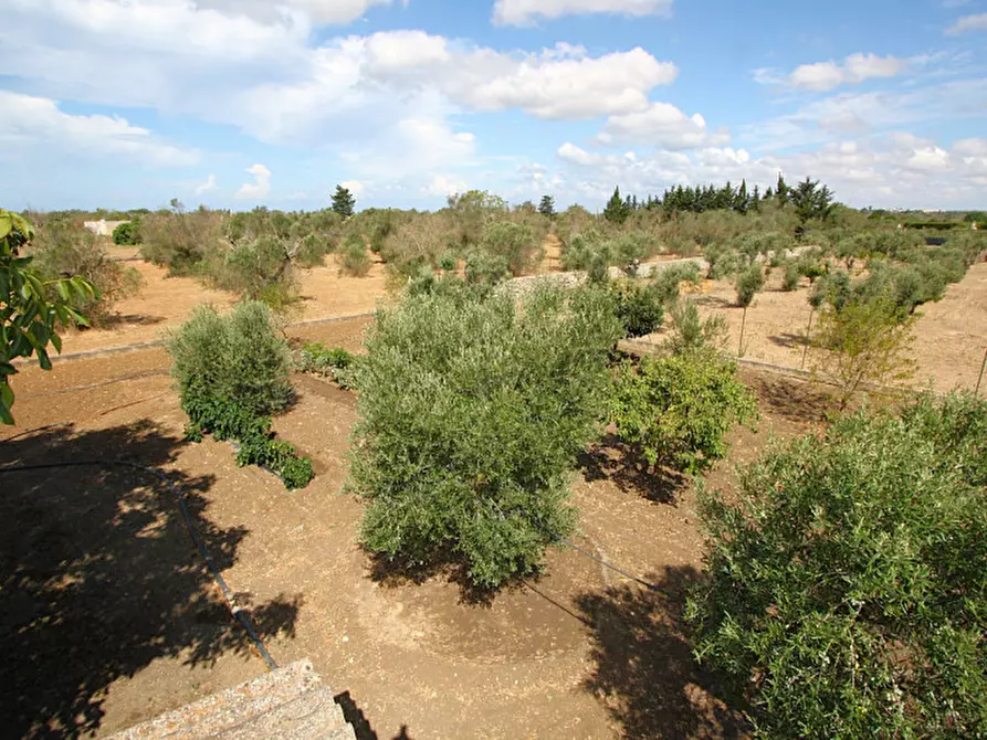 Immagine 20 di Magazzino in vendita  in SP 223 a Gallipoli