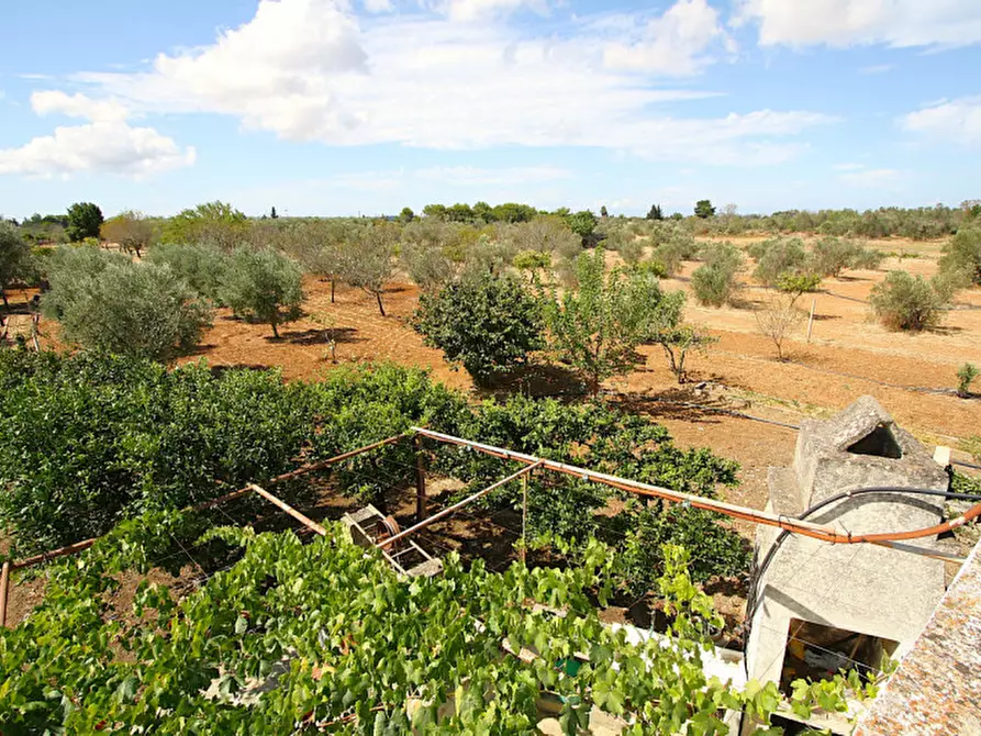 Immagine 23 di Magazzino in vendita  in SP 223 a Gallipoli