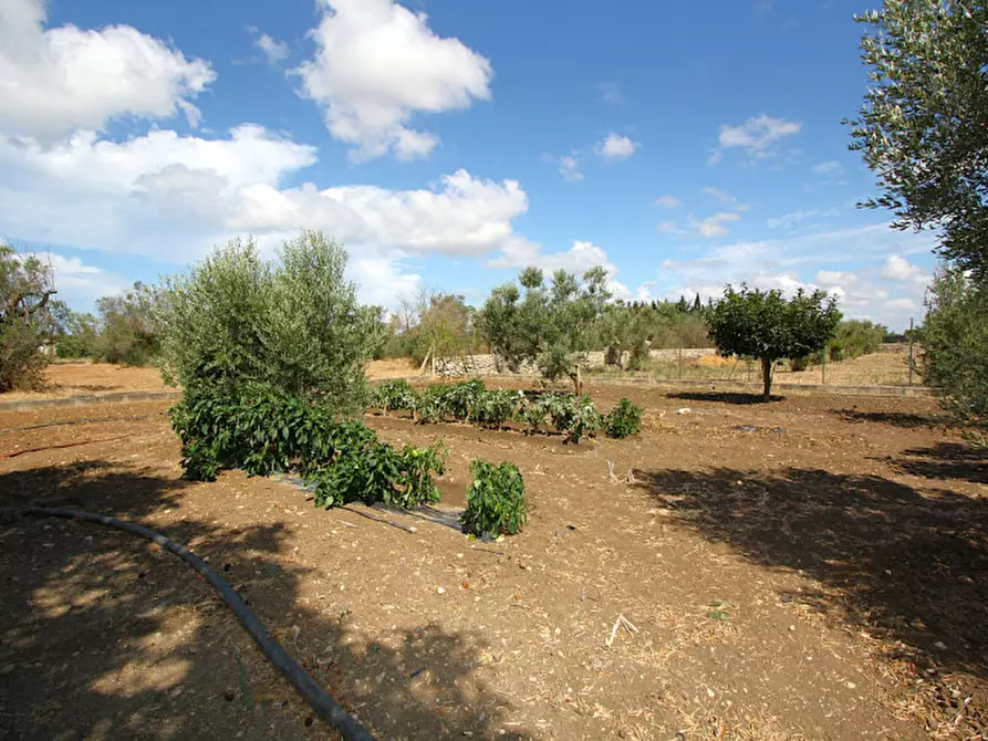 Immagine 27 di Magazzino in vendita  in SP 223 a Gallipoli