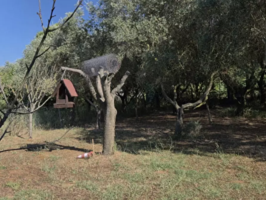 Immagine 1 di Terreno in vendita  in Strada di Montefeltro a Pesaro