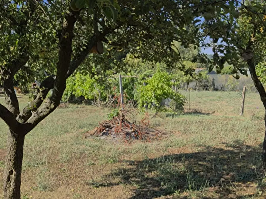 Immagine 2 di Terreno in vendita  in Strada di Montefeltro a Pesaro