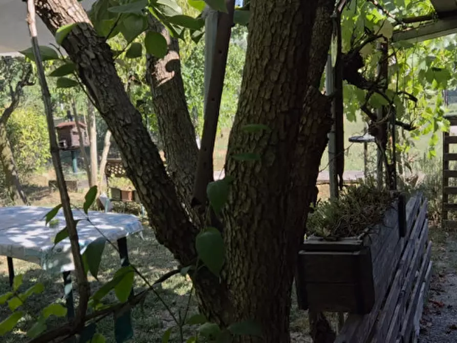 Immagine 23 di Terreno in vendita  in Strada di Montefeltro a Pesaro