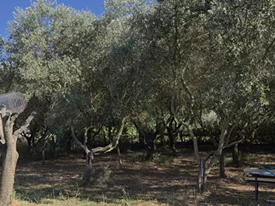 Immagine 25 di Terreno in vendita  in Strada di Montefeltro a Pesaro