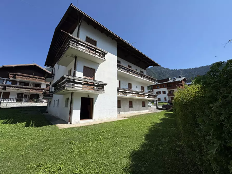 Immagine 11 di Appartamento in vendita  in Via Trento,17 a Auronzo Di Cadore