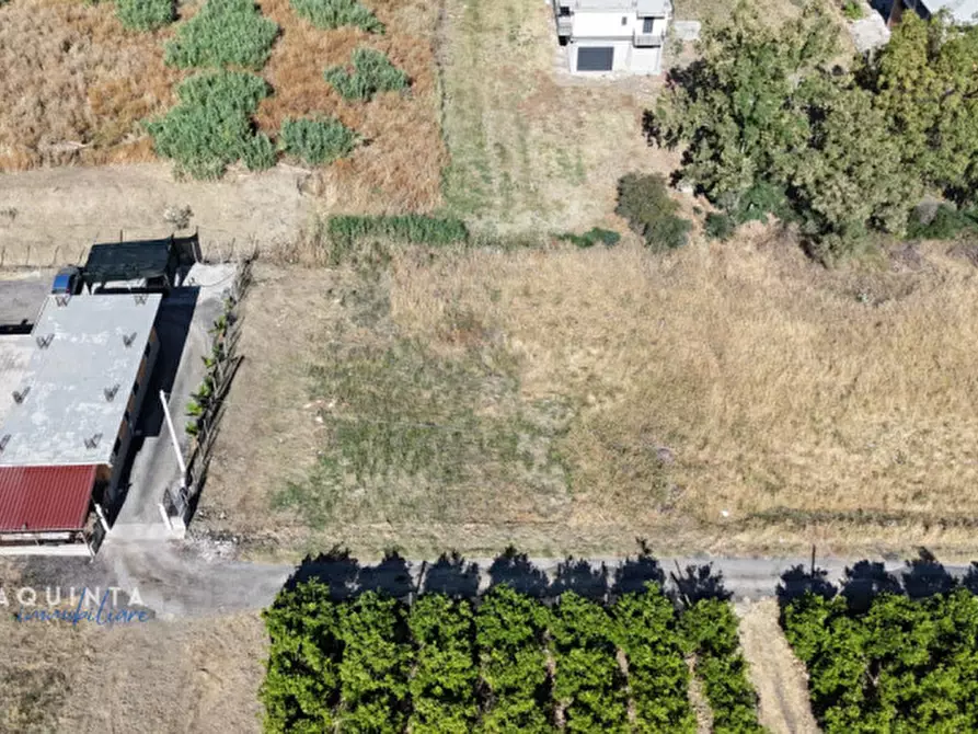 Immagine 3 di Terreno in vendita  in c.da Albanello snc a Palagonia