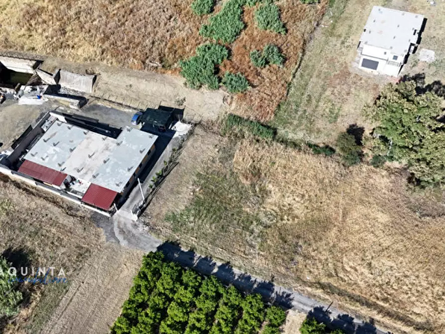 Immagine 5 di Terreno in vendita  in c.da Albanello snc a Palagonia