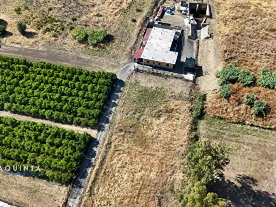 Immagine 6 di Terreno in vendita  in c.da Albanello snc a Palagonia
