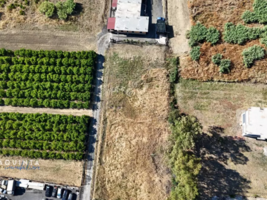 Immagine 7 di Terreno in vendita  in c.da Albanello snc a Palagonia