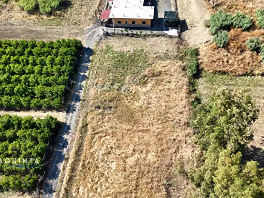 Immagine 8 di Terreno in vendita  in c.da Albanello snc a Palagonia