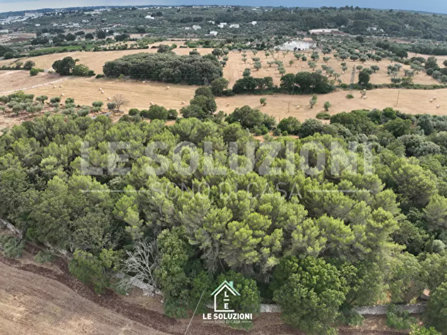mansarda in vendita ad Alberobello in zona Pantanelli