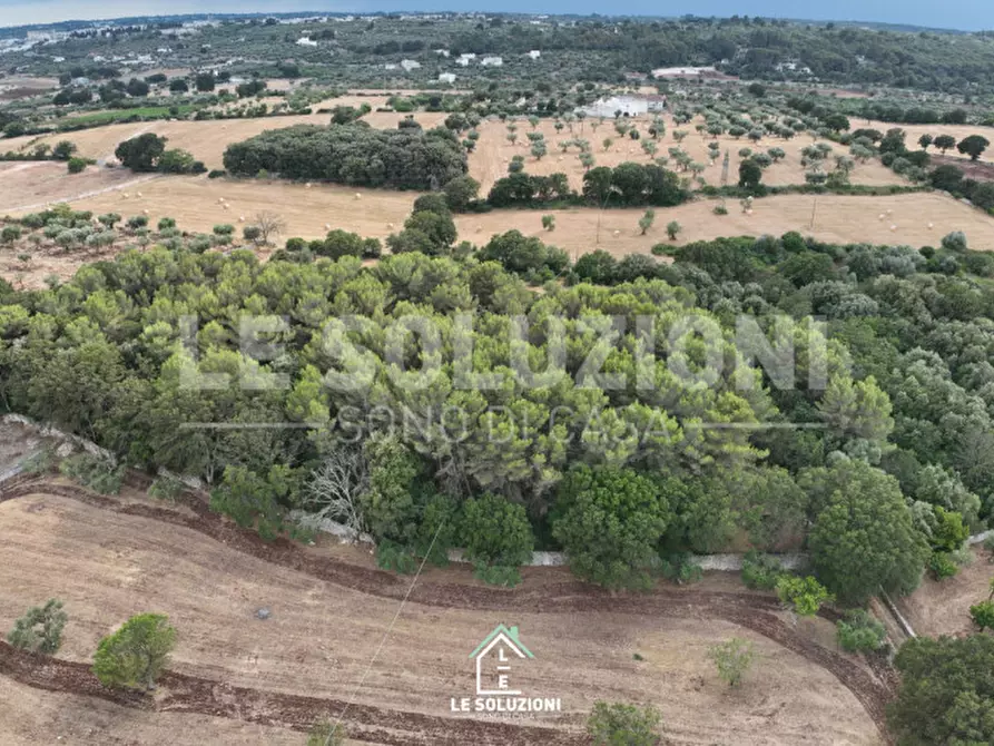 Immagine 2 di Terreno in vendita  in Contrada Pantanelli a Alberobello