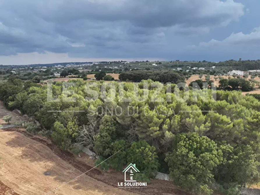 Immagine 3 di Terreno in vendita  in Contrada Pantanelli a Alberobello