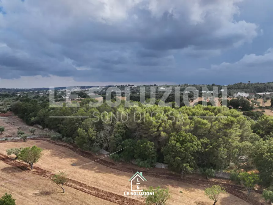 Immagine 4 di Terreno in vendita  in Contrada Pantanelli a Alberobello