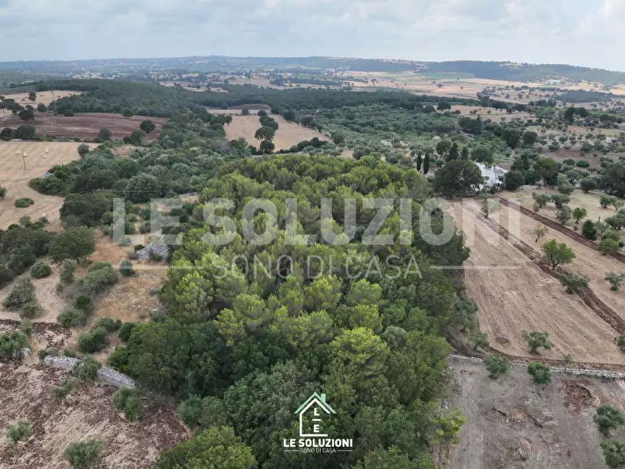 Immagine 5 di Terreno in vendita  in Contrada Pantanelli a Alberobello