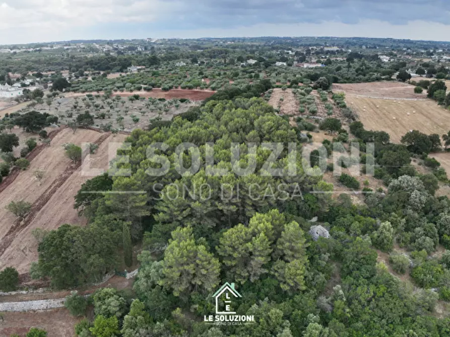 Immagine 6 di Terreno in vendita  in Contrada Pantanelli a Alberobello